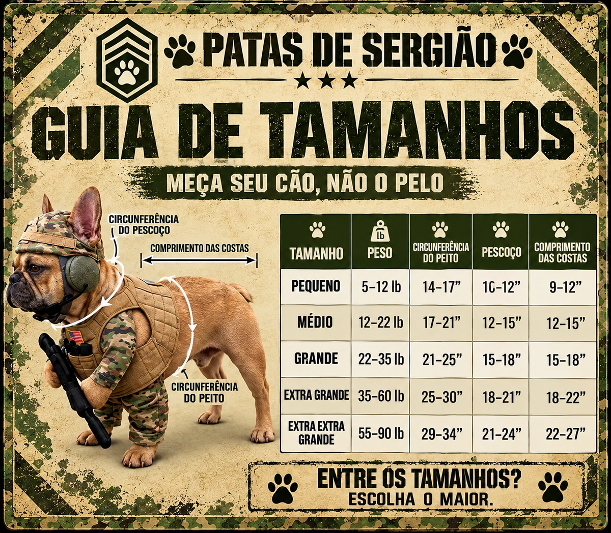 Fantasia de Sargento Patinhas